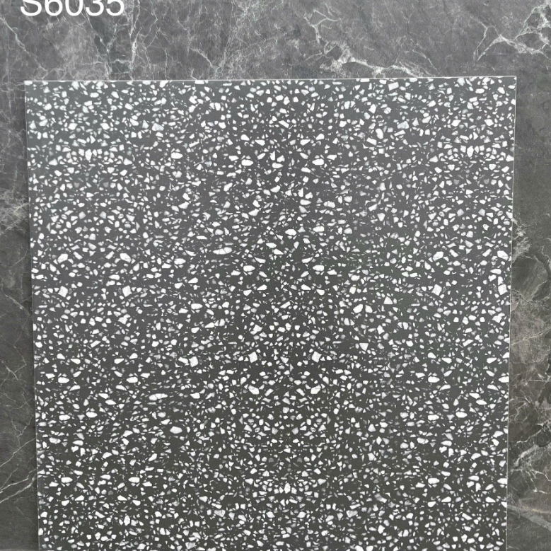 Gạch TQ KT 60x60cm V-S6035