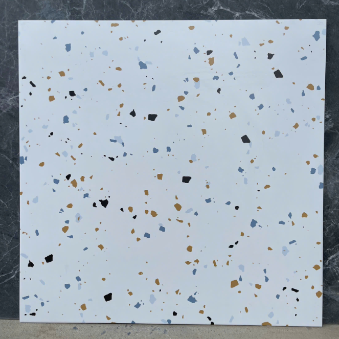 Gạch TQ KT 60x60cm V-S6068