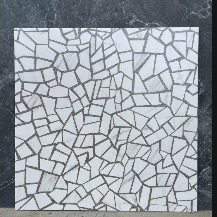 Gạch TQ KT 60x60cm V-S6037