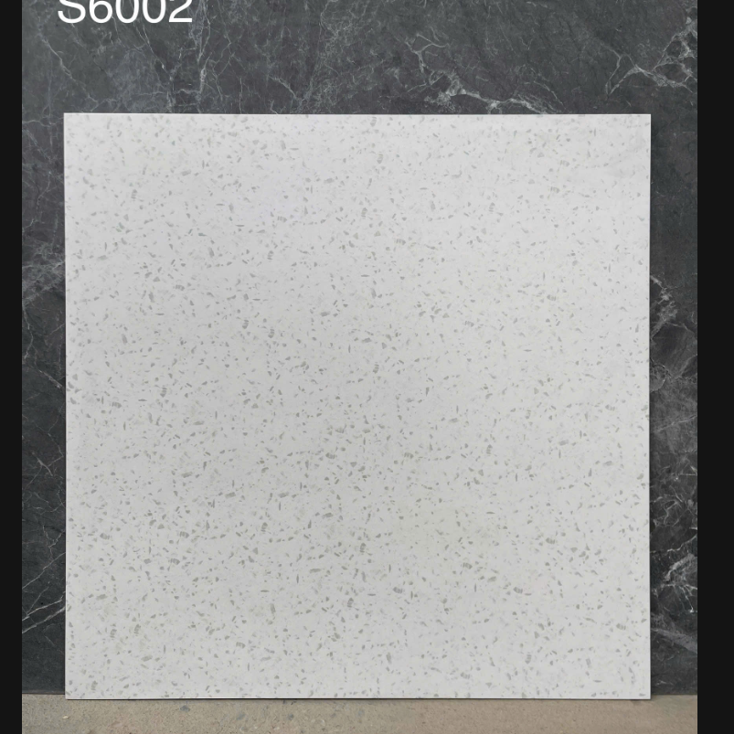 Gạch TQ KT 60x60cm V-S6002