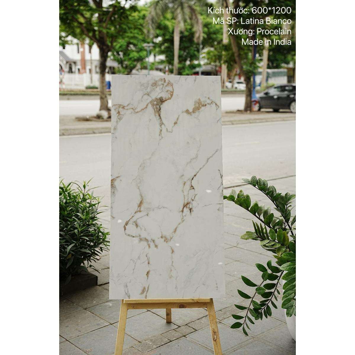 Gạch Ấn Độ nhập khẩu KT 60x120cm V-LATINA BIANCO