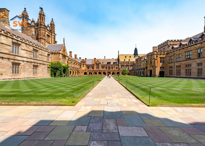 Du học Úc nên học ngành gì? 13 ngành học triển vọng, dễ xin việc, định cư