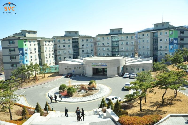 Chuyên ngành đào tạo – Đại học Soonchunhyang