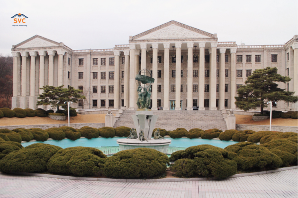 Cẩm nang du học Hàn Quốc ngành thương mại quốc tế: Trường tốt, chi phí & thủ tục xin Visa