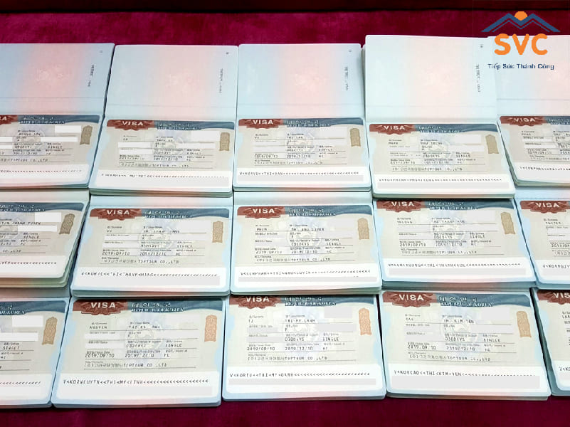 Các loại visa D2 du học Hàn Quốc