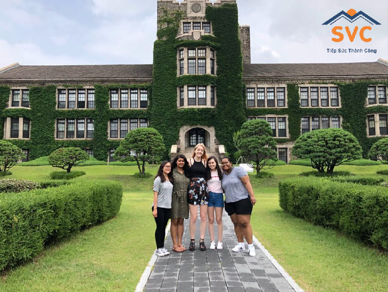 Các ngành của đại học Yonsei