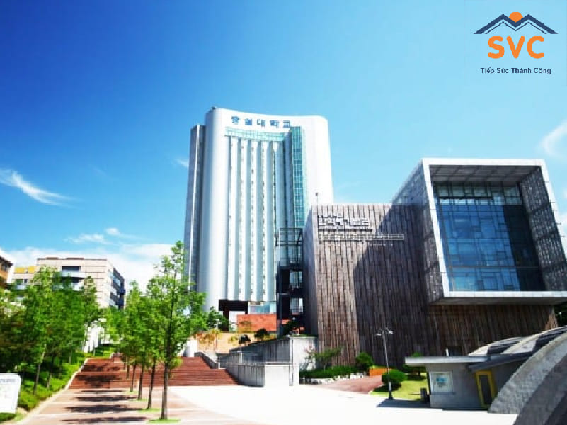 Chuyên ngành đào tạo của trường đại học Soongsil