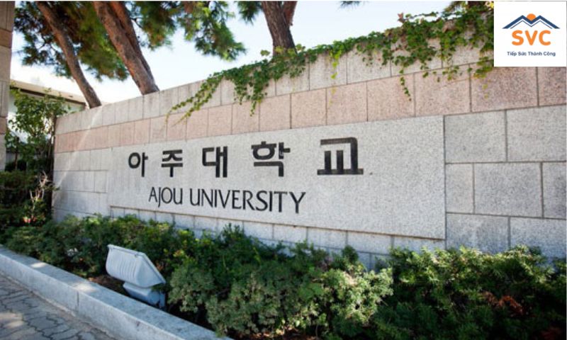 Đại học Ajou - ngôi trường chuyên đào tạo ngành Công Nghệ và Kỹ Thuật