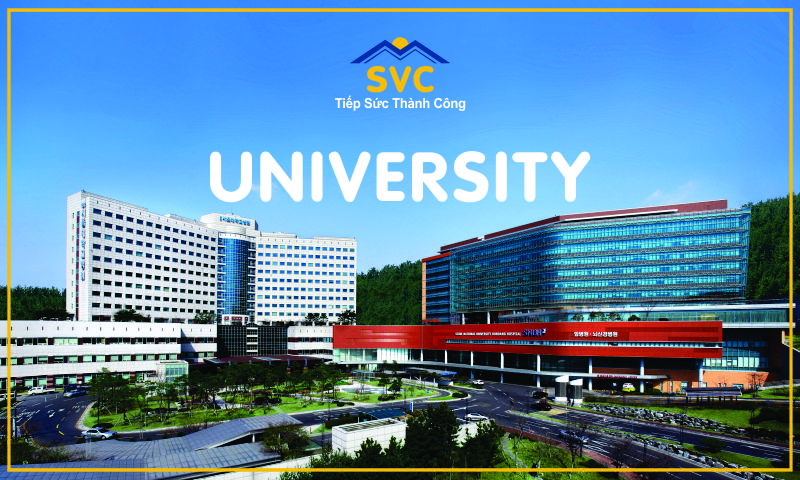 Trường nào được cấp mã code