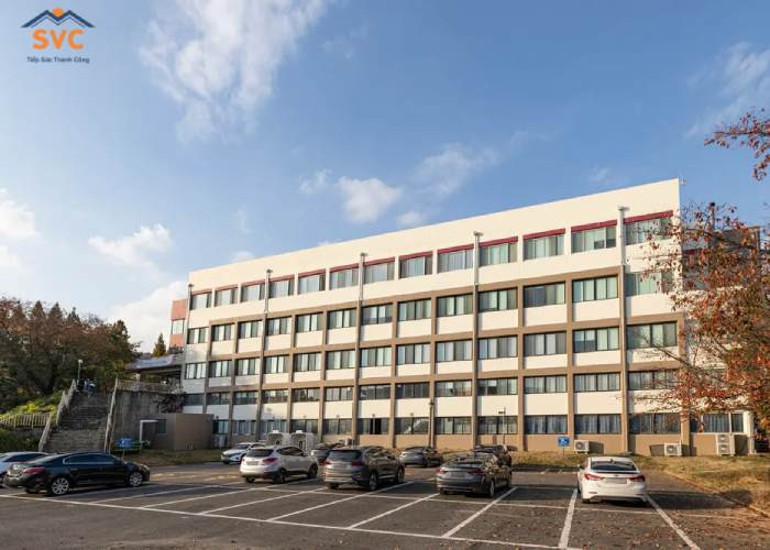 Đại học Kyungil – Trường đại học tư thục uy tín, định hướng nghề nghiệp vững chắc tại Hàn Quốc