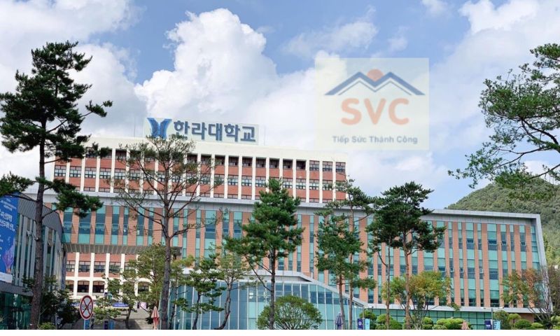 Đại học Halla - ngôi trường ước mơ của nhiều du học sinh