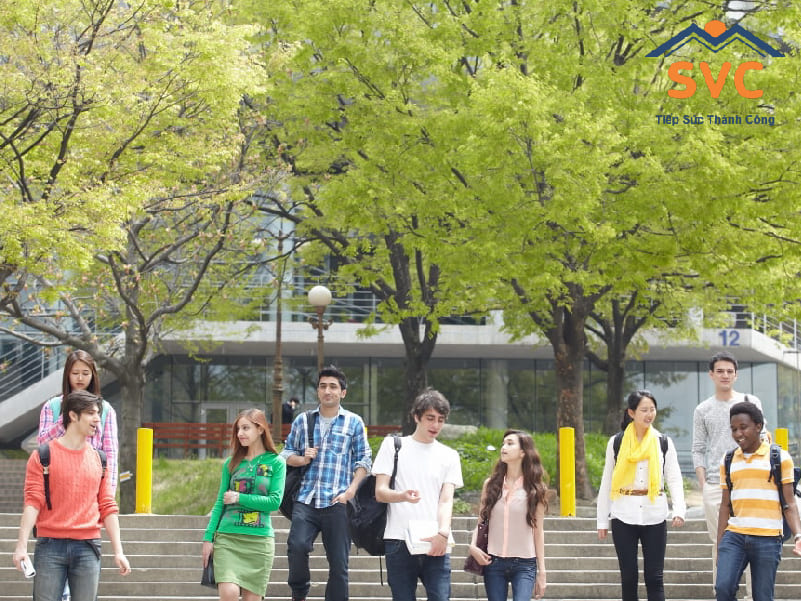 Độ tuổi du học Hàn Quốc tốt nhất