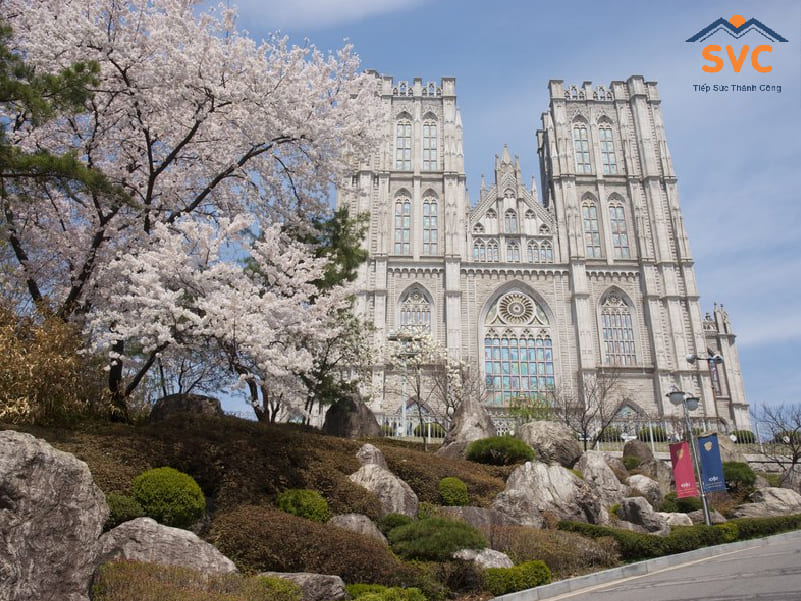 học bổng du học hàn quốc, học bổng hàn quốc, Các trường đại học ở Hàn Quốc có học bổng, các loại học bổng hàn quốc, các loại học bổng du học hàn quốc, học bổng đi hàn quốc