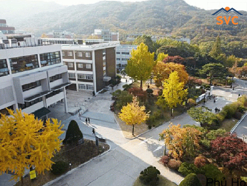 học bổng du học hàn quốc, học bổng hàn quốc, Các trường đại học ở Hàn Quốc có học bổng, các loại học bổng hàn quốc, các loại học bổng du học hàn quốc, học bổng đi hàn quốc