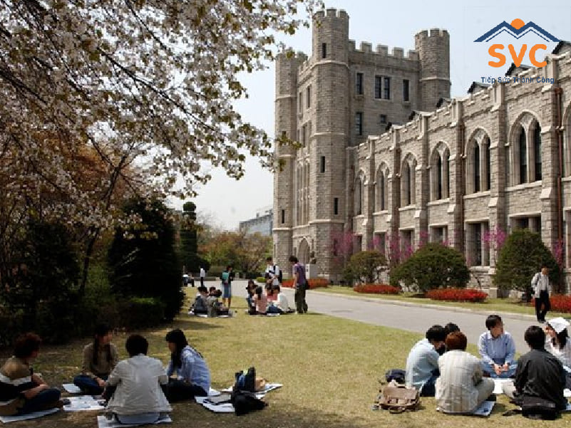 Suất học bổng của đại học Yonsei khác