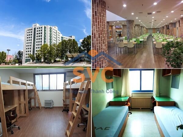 Ký túc xá trường