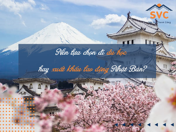 Nên đi du học hay xuất khẩu lao động Nhật Bản? Đâu là lựa chọn phù hợp