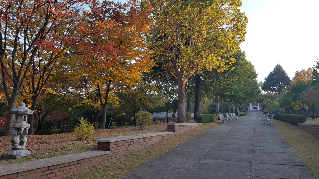 Một số thành tích nổi bật