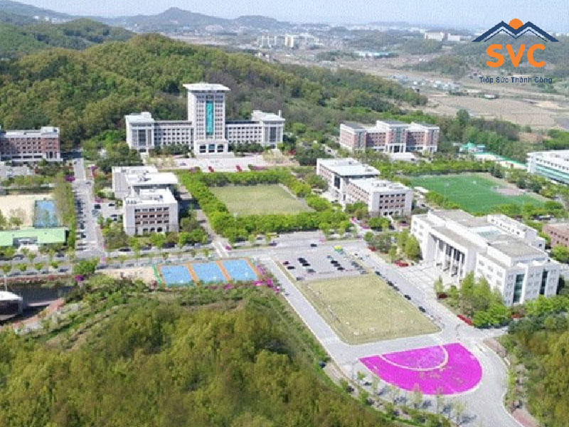 Thông tin trường Sunmoon