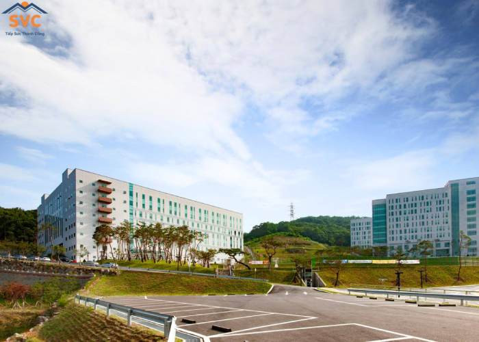 Đại học Joongbu: Chất Lượng Giáo Dục Tạo Nên Khác Biệt