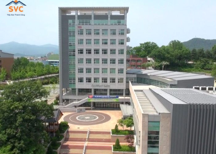 Đại học quốc gia Kangwon (KNU) – Trường công lập uy tín hàng đầu tại Hàn Quốc