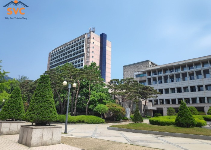 Thông tin mới về đại học Kookmin - Ngôi trường hoàn hảo cho sinh viên