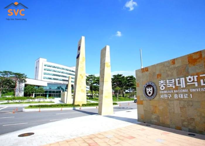 Đại học Quốc gia Chungbuk: Khám Phá Môi Trường Học Tập Năng Động