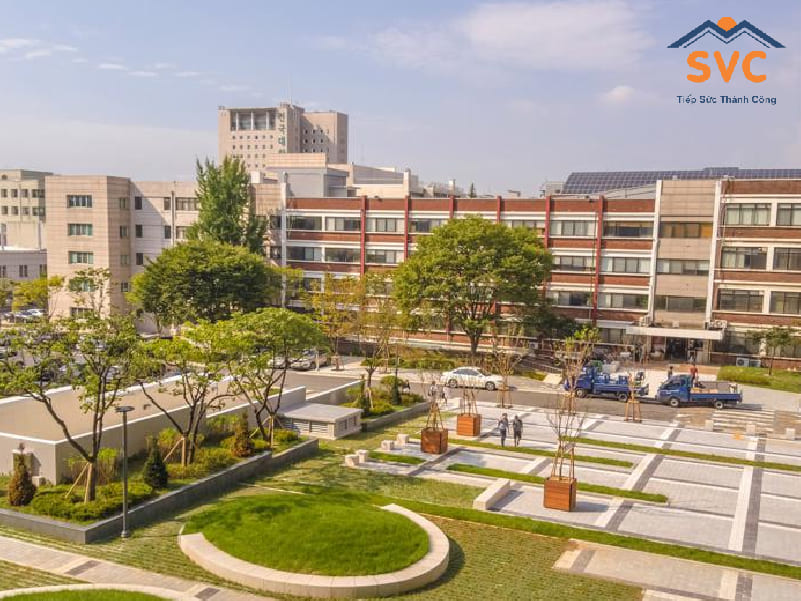 Trường top 1 Hàn Quốc