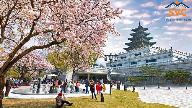 Bí quyết xin thành công Visa du học Hàn quốc 2022 | Du Học SVC