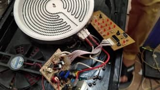 Bếp bosch đơn là hàng nhái thương hiệu