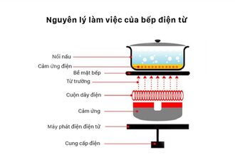 Nguyên lý hoạt động của bếp hồng ngoại là đốt nóng Nguyên lý hoạt động của bếp hồng ngoại là đốt nóng