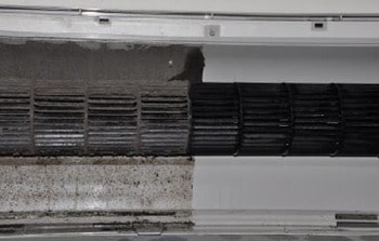 Vệ sinh điều hòa giúp điều hòa sạch loại bỏ các vi khuẩn gây bệnh Vệ sinh điều hòa giúp điều hòa sạch loại bỏ các vi khuẩn gây bệnh