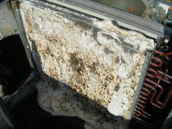 Điều hòa sử dụng lâu ngày nên thiếu gas, hết gas và không mát Điều hòa sử dụng lâu ngày nên thiếu gas, hết gas và không mát