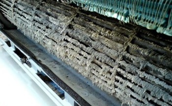 Rất nhiều vi khuẩn, bụi bẩn gây ảnh hưởng tới sức khỏe người sử dụng Rất nhiều vi khuẩn, bụi bẩn gây ảnh hưởng tới sức khỏe người sử dụng