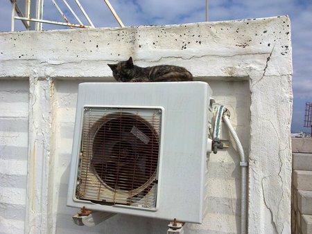 Dịch vụ sửa điều hòa gree uy tín số 1 tại hà nội