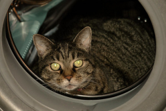 Sửa máy giặt Electrolux tại Mỗ lao, Hà đông bảo hành trong 1 năm