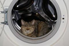 Sửa máy giặt Electrolux tại Chợ khâm thiên mở cửa liên tục 24/7