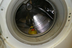 Sửa máy giặt Electrolux tại phố Hồng hà bảo hành Máy giặt 1 năm