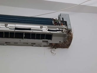 Bảo dưỡng điều hòa tại nhà 199k, vệ sinh điều hòa Hà nội 247