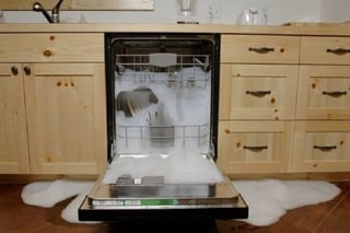 Không nên tự sửa máy rửa bát lỗi không xả nước