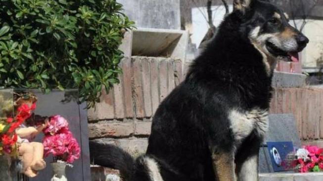 Bài bào chữa hay nhất thế kỷ