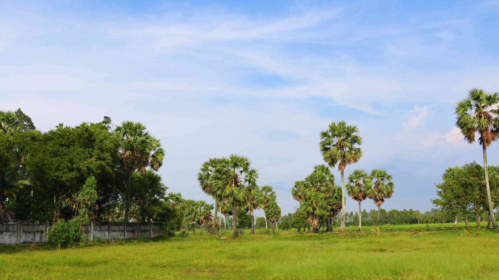 Thẩm quyền giải quyết tranh chấp đất đai theo quy định của pháp luật