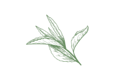Natural Ingredients