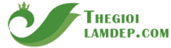 Thế giới làm đẹp
