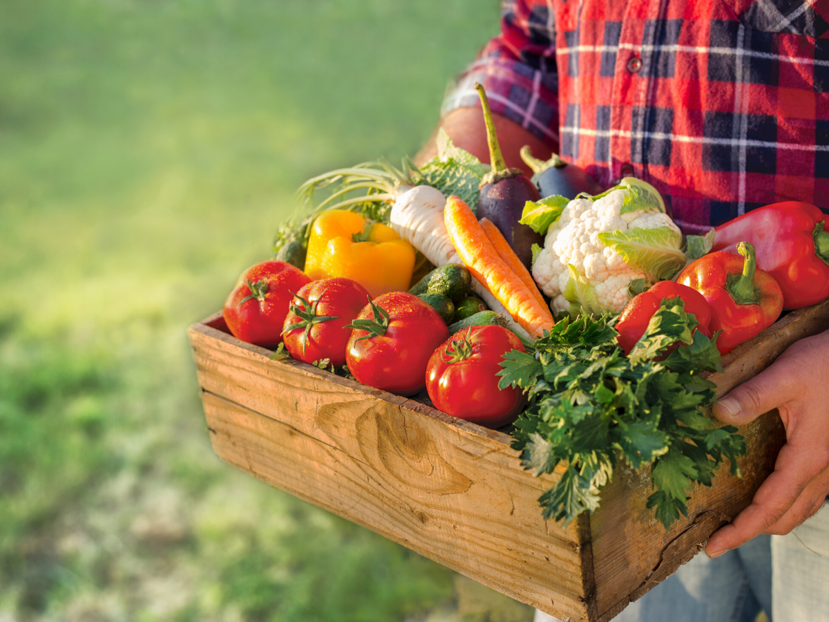 Fresh Foods
